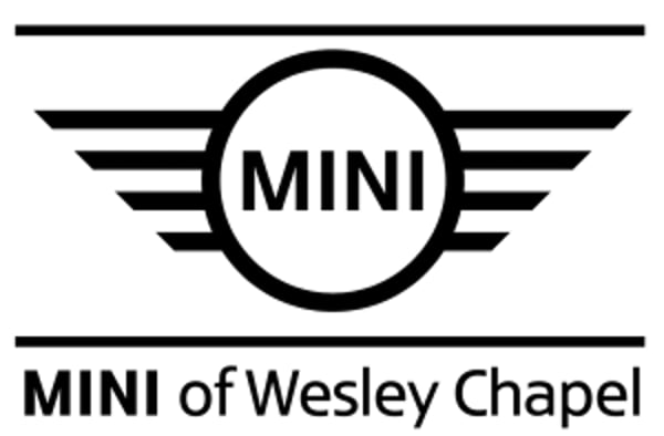 Mini Technician Jobs Wesley Chapel Florida