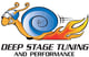 Deep Stage Tuning And Performance Norman Oklahoma logo